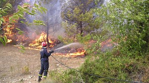Slika PU_VS/Pozari/požar u šumi.jpg